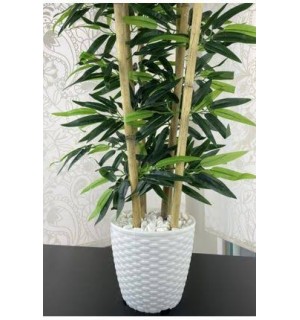RATTAN SAKSI 24